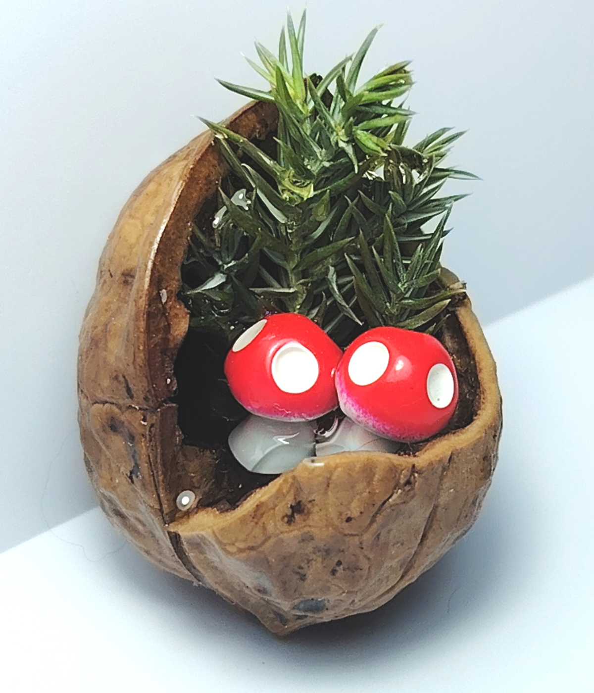 Peisaj în coajă de nucă 3