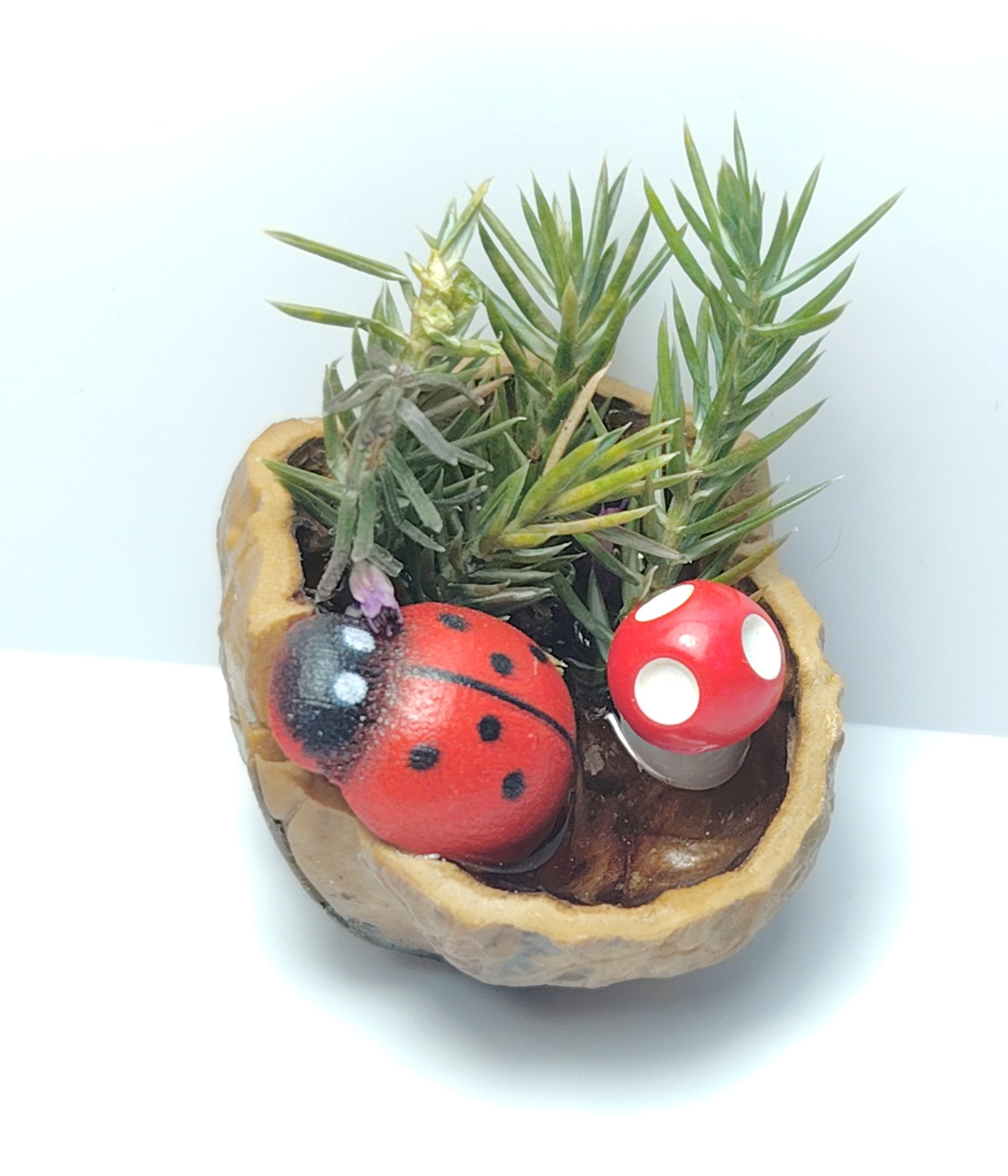 Peisaj în coajă de nucă 2