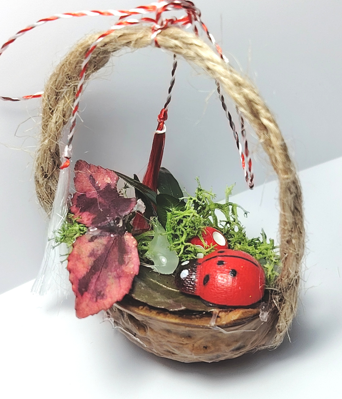 Peisaj în coajă de nucă 7