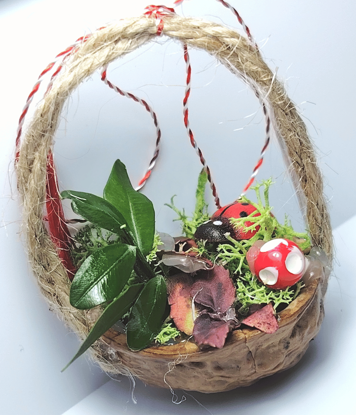 Peisaj în coajă de nucă 9